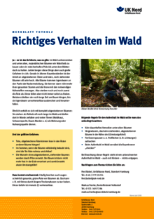 Vorschaubild der Publikation Merkblatt Totholz